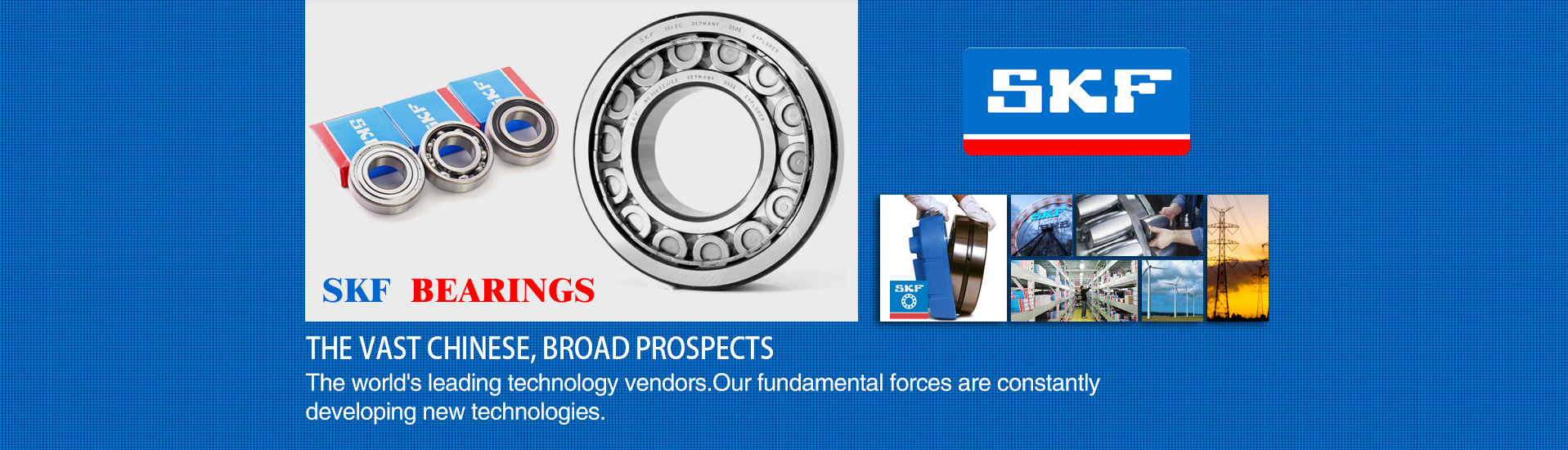 skf bearing