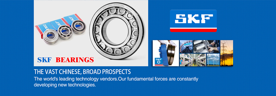 SKF bearing application